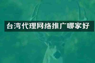 台湾代理网络推广哪家好