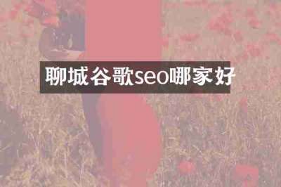聊城谷歌seo哪家好