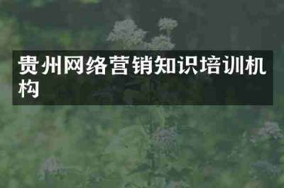 贵州网络营销知识培训机构