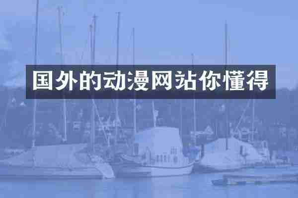 国外的动漫网站你懂得