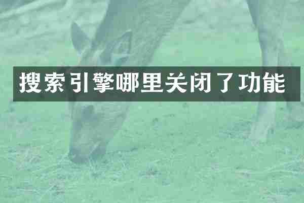 搜索引擎哪里关闭了功能
