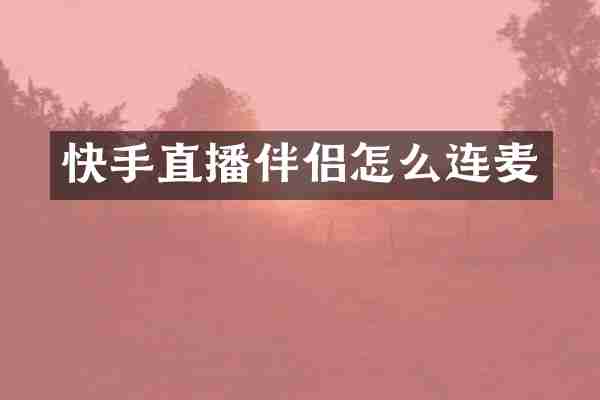 快手直播伴侣怎么连麦
