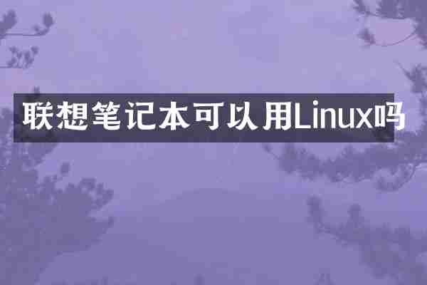 联想笔记本可以用Linux吗