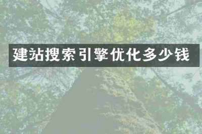 建站搜索引擎优化多少钱