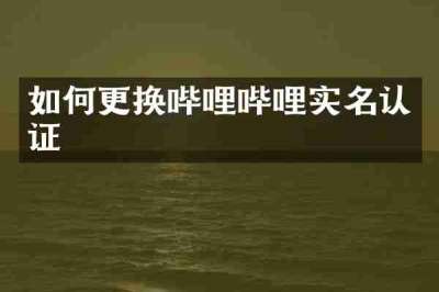 如何更换哔哩哔哩实名认证