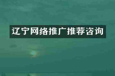 辽宁网络推广推荐咨询