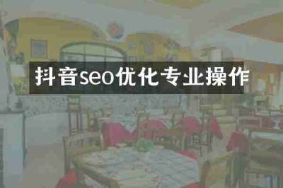 抖音seo优化专业操作