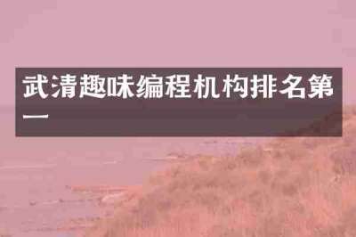 武清趣味编程机构排名第一