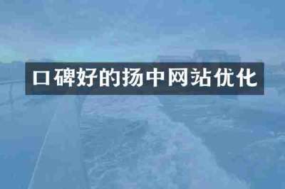 口碑好的扬中网站优化