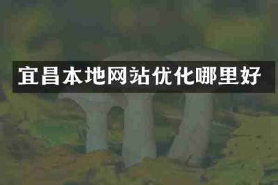宜昌本地网站优化哪里好