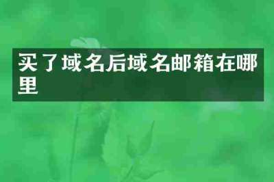 买了域名后域名邮箱在哪里