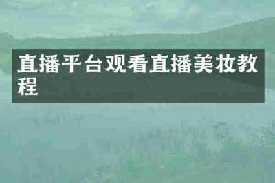 直播平台观看直播美妆教程