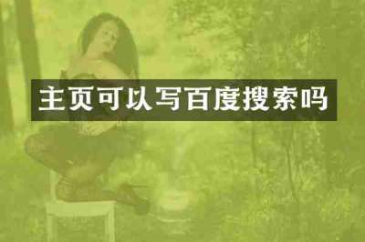 主页可以写百度搜索吗