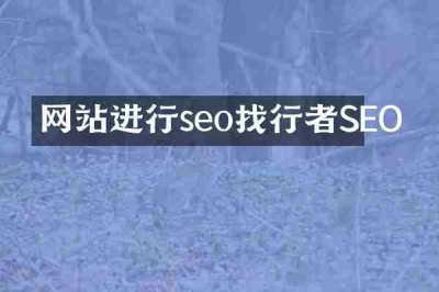 网站进行seo找行者SEO