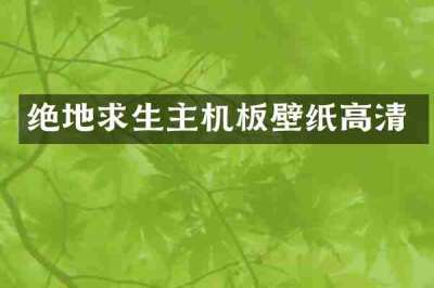 绝地求生主机板壁纸高清