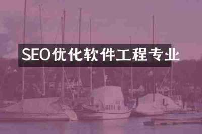 SEO优化软件工程专业