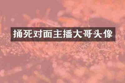 捅死对面主播大哥头像