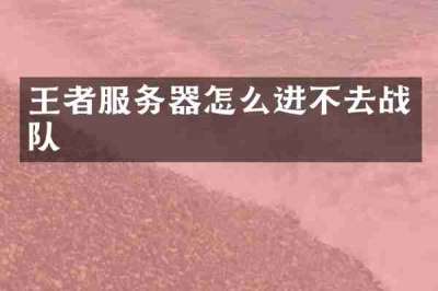 王者服务器怎么进不去战队