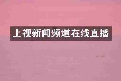 上视新闻频道在线直播