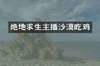 绝地求生主播沙漠吃鸡