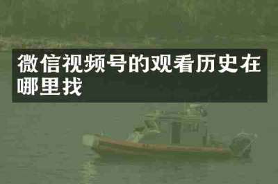 微信视频号的观看历史在哪里找