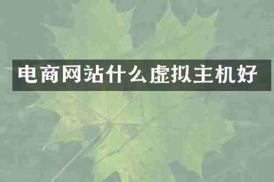 电商网站什么虚拟主机好