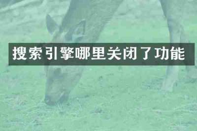 搜索引擎哪里关闭了功能