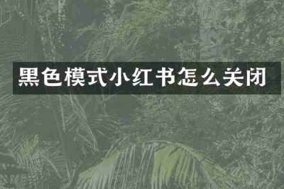 黑色模式小红书怎么关闭