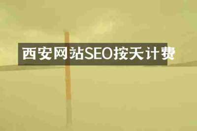 西安网站SEO按天计费