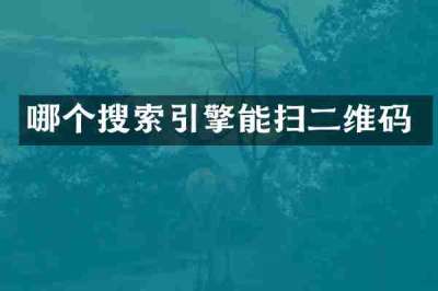 哪个搜索引擎能扫二维码