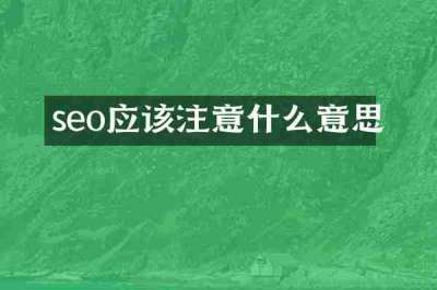 seo应该注意什么意思