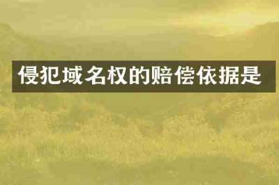 侵犯域名权的赔偿依据是