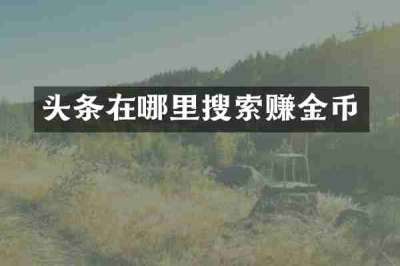 头条在哪里搜索赚金币