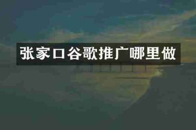 张家口谷歌推广哪里做