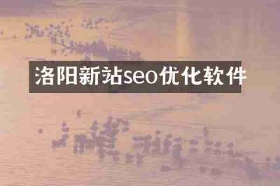 洛阳新站seo优化软件