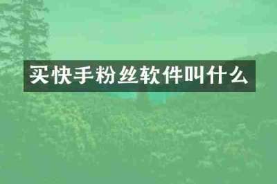 买快手粉丝软件叫什么