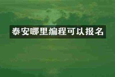 泰安哪里编程可以报名