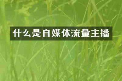 什么是自媒体流量主播