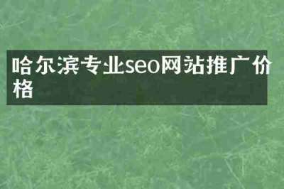哈尔滨专业seo网站推广价格