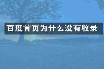 百度首页为什么没有收录