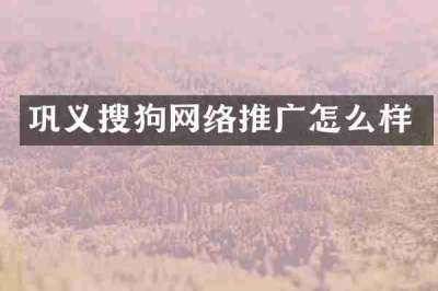 巩义搜狗网络推广怎么样
