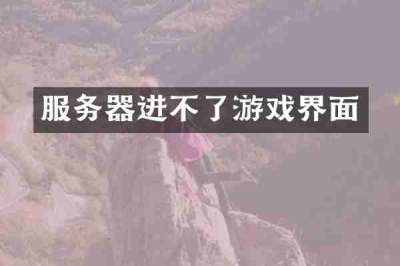 服务器进不了游戏界面