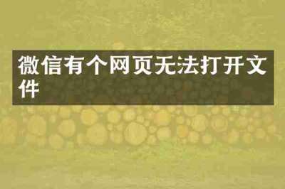 微信有个网页无法打开文件
