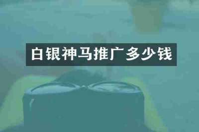 白银神马推广多少钱