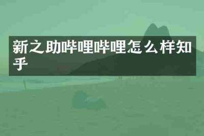 新之助哔哩哔哩怎么样知乎