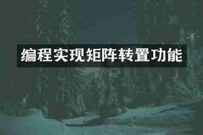 编程实现矩阵转置功能