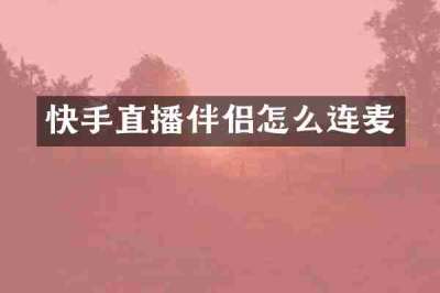 快手直播伴侣怎么连麦