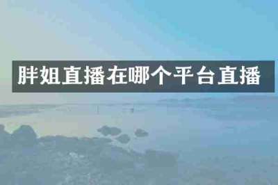胖姐直播在哪个平台直播