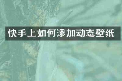 快手上如何添加动态壁纸
