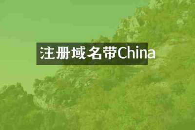 注册域名带China